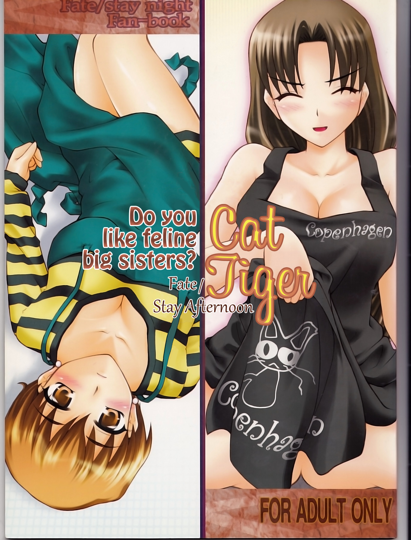 Hentai Manga Comic-Cat Tiger: Do You Like Feline Big Sisters? Fate/Stay Afternoon-v22m-Read-1